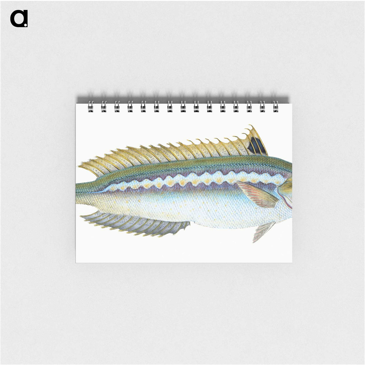 1-85_The-Natural-History-of-British-Fishes_memo