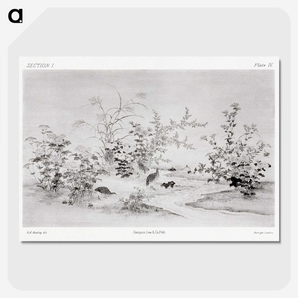1-85_The-Ornamental-Arts-of-Japan_picture-crop