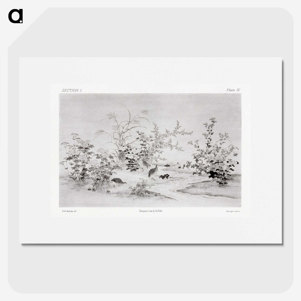 1-85_The-Ornamental-Arts-of-Japan_picture