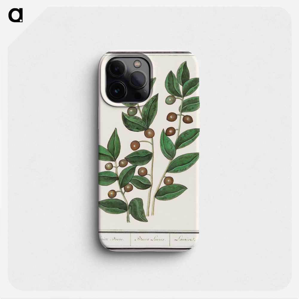 Olive - アンセルムス ボエティウス デ ブート Phone Case.