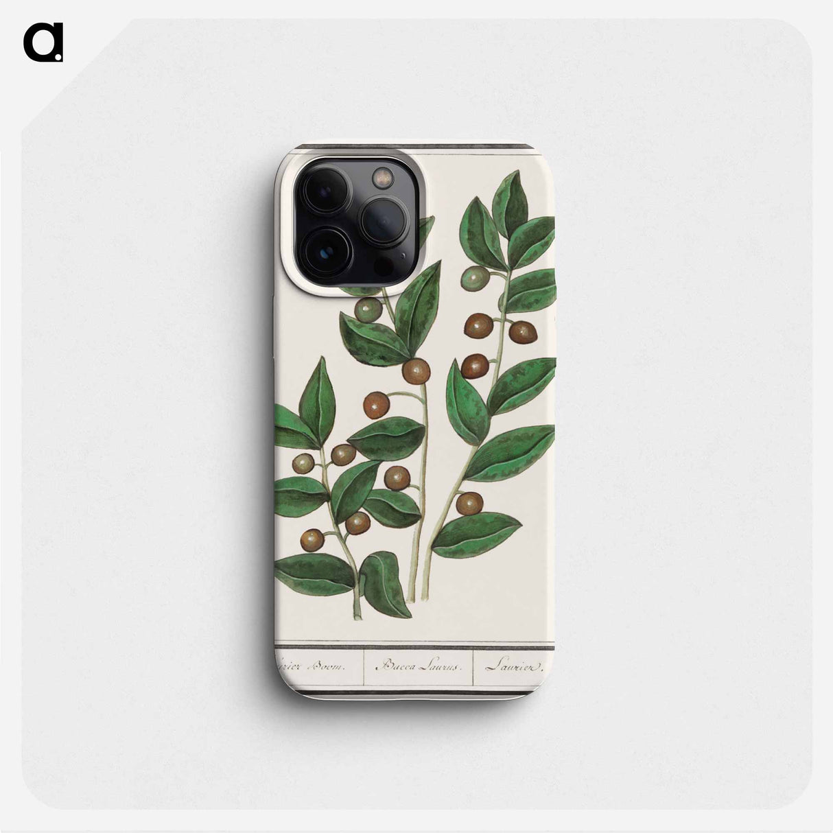 Olive - アンセルムス ボエティウス デ ブート Phone Case.