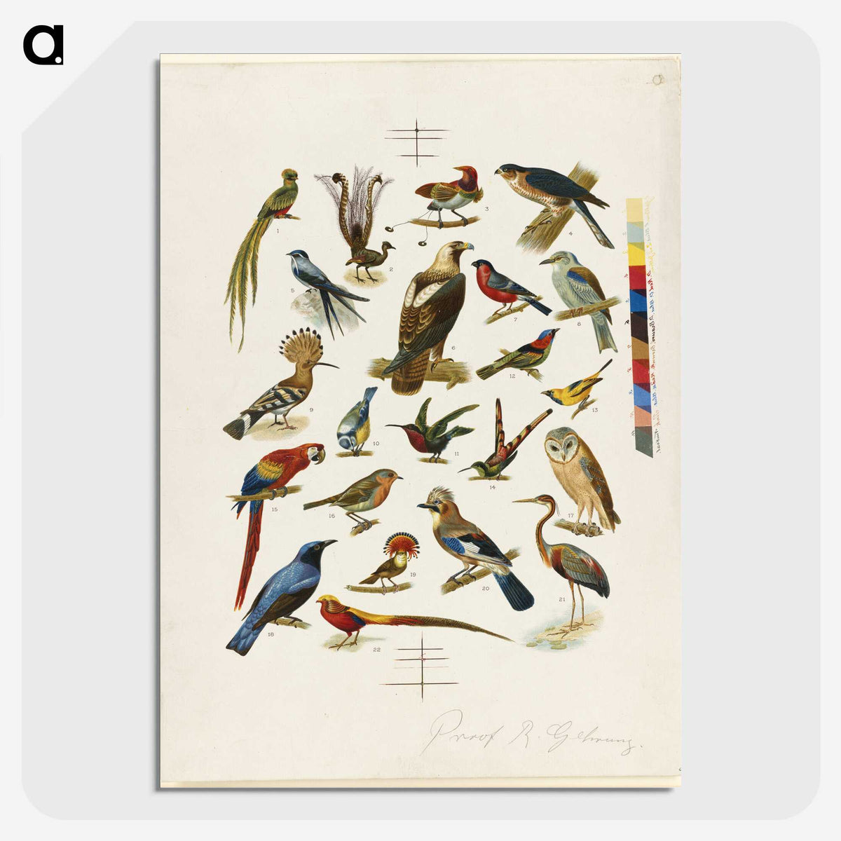 1-86_Boston-Public-Library_picture-crop