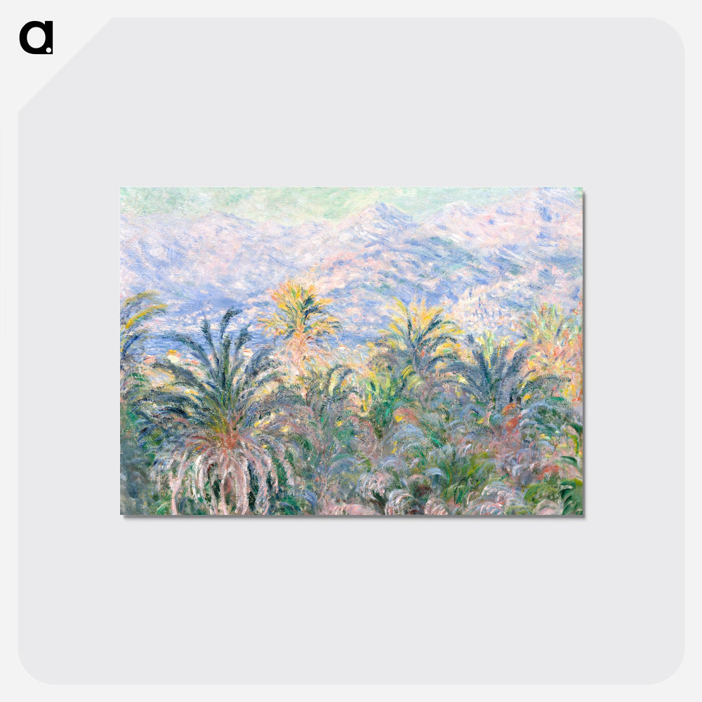 Palm Trees at Bordighera - クロード モネ Postcard.