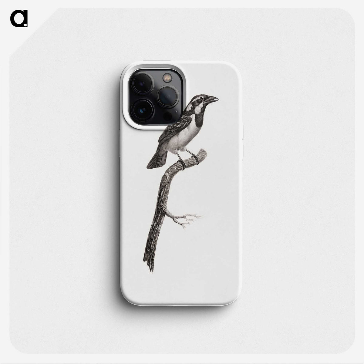 1-86_Des-Oiseaux-de-Paradis_phone