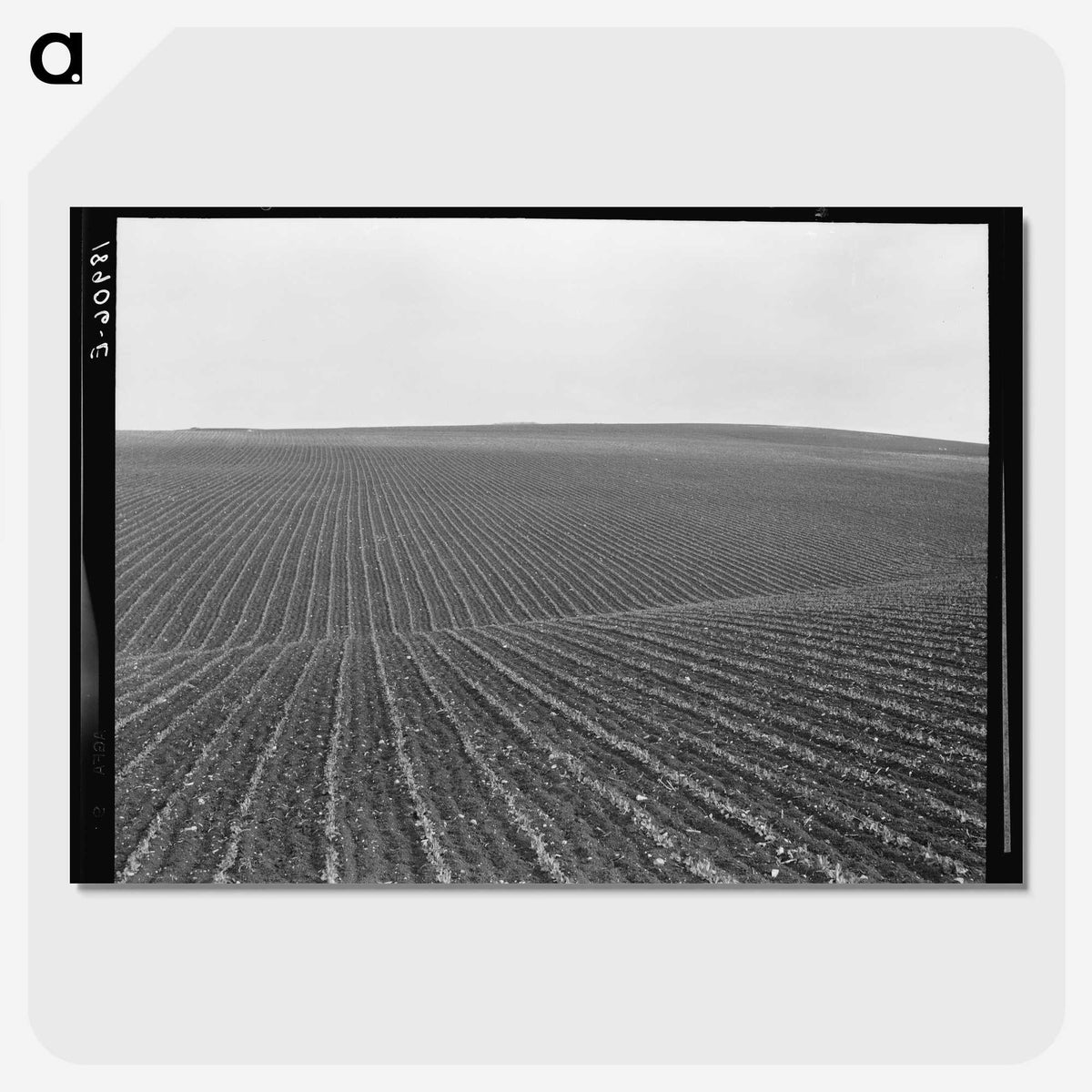 1-86_Dorothea-Lange_picture-crop