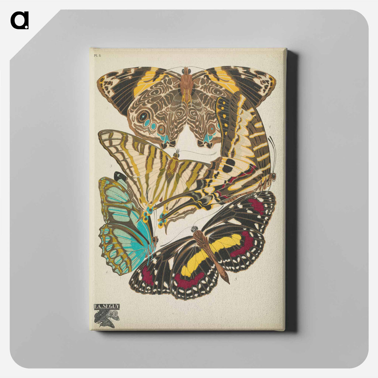 E.A. Séguy's vintage butterflies insect illustration - E.A.セギー Canvas.