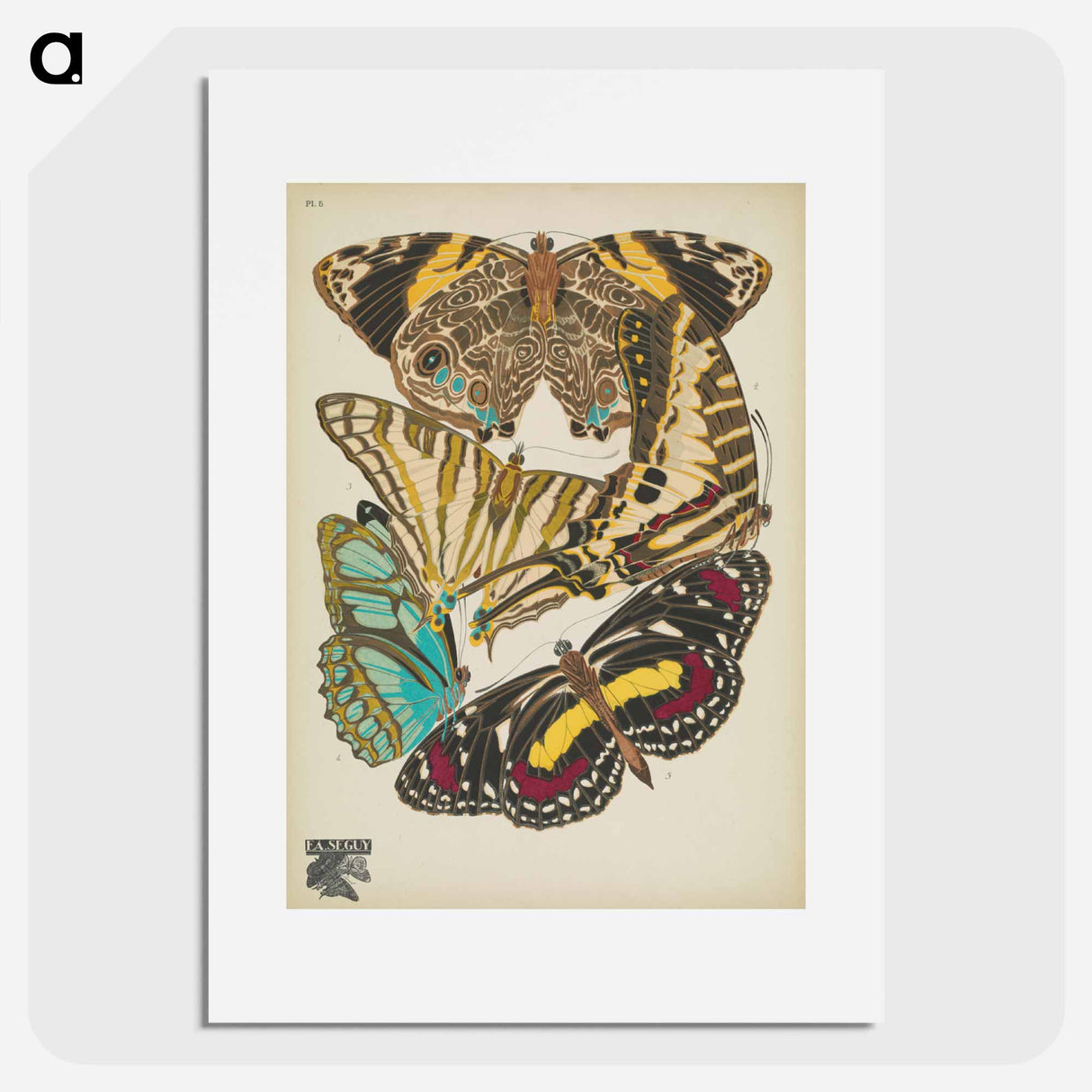 E.A. Séguy's vintage butterflies insect illustration - E.A.セギー Poster.