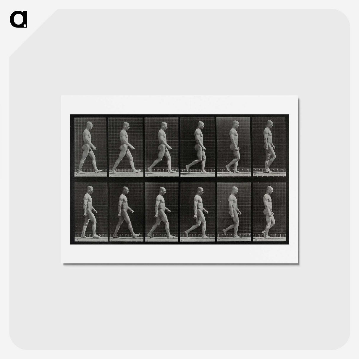 1-86_Eadweard-Muybridge_hagaki