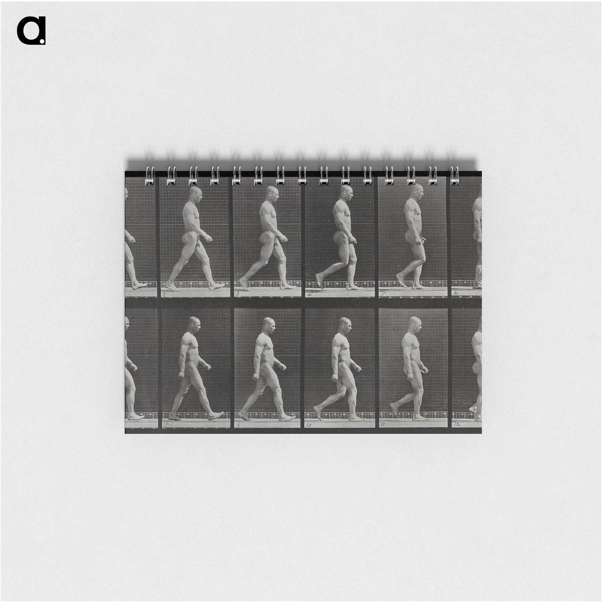 1-86_Eadweard-Muybridge_memo