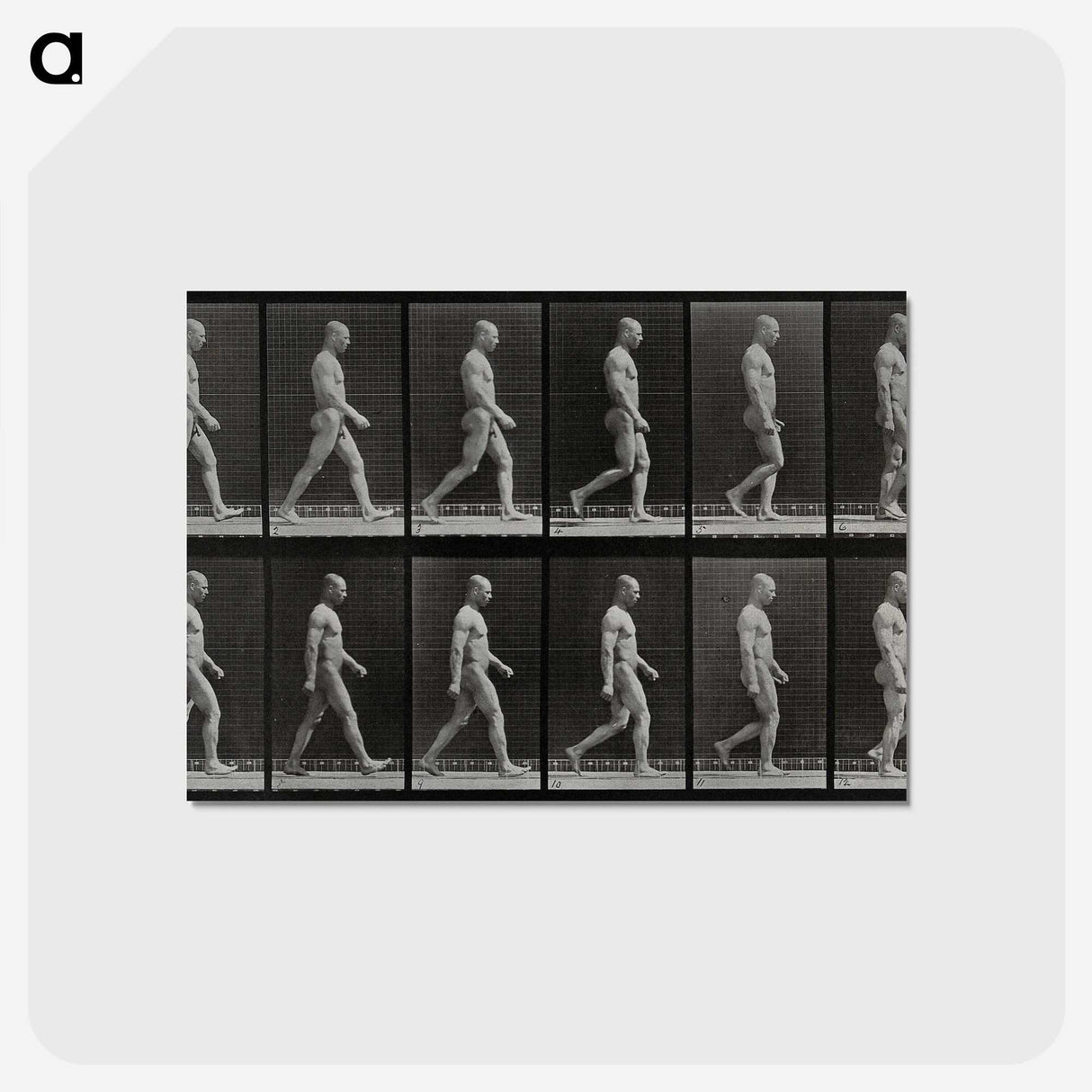 1-86_Eadweard-Muybridge_postcard