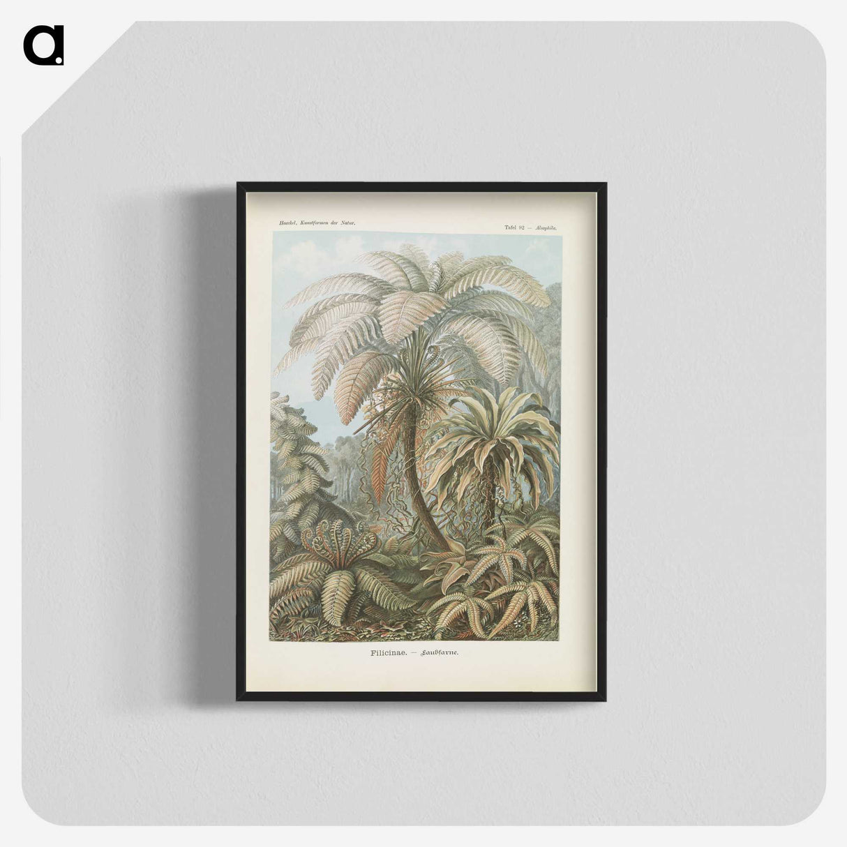 1-86_Ernst-Haeckel_blk-crop