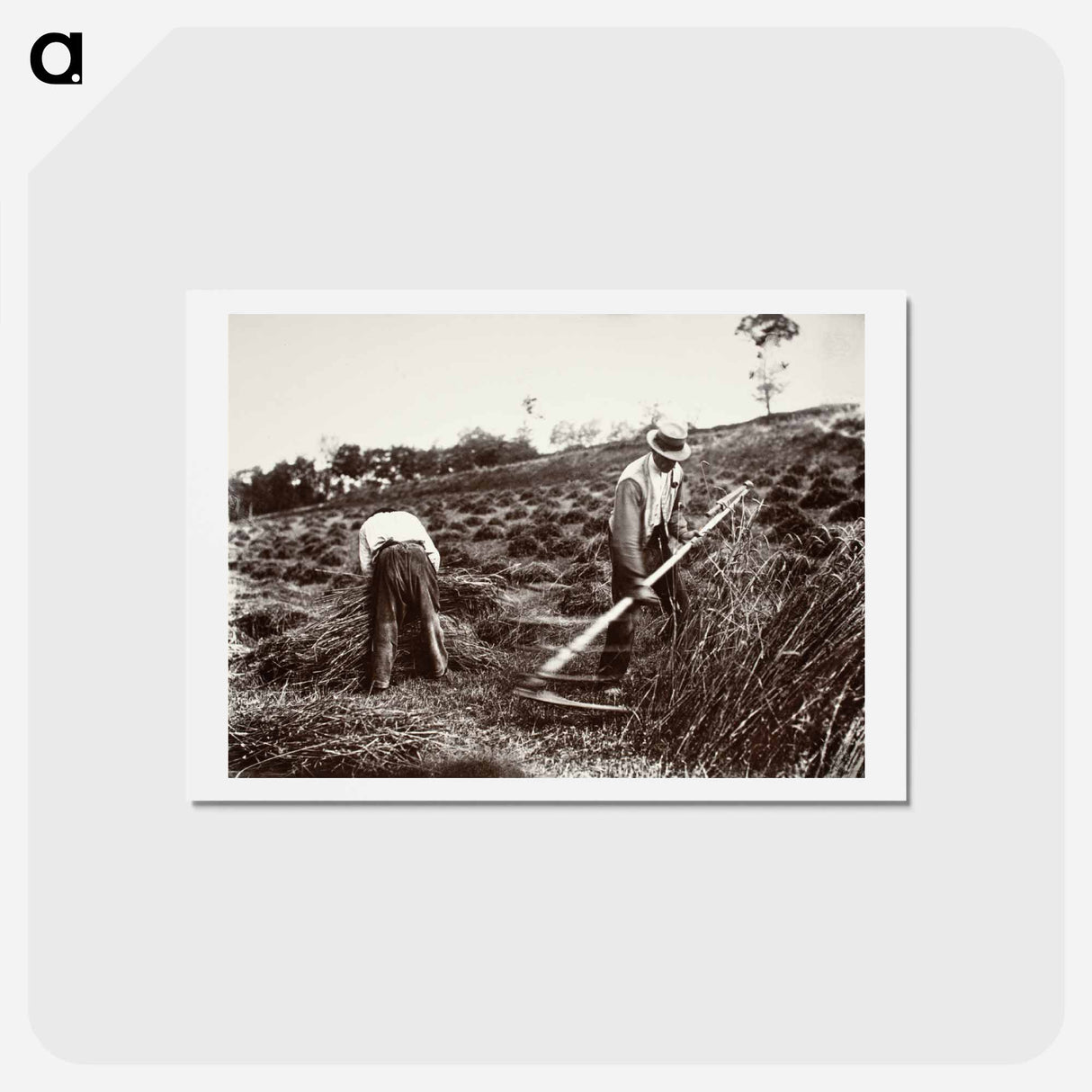 アートポストカード-Faucheurs, Somme
- ウジェーヌ アジェ Postcard.
