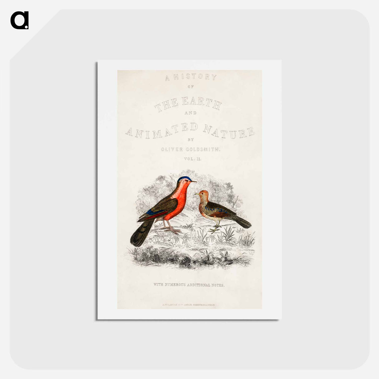 アートポストカード-Bird Illustration
- ゴールドスミスの生き生きとした自然 Postcard.