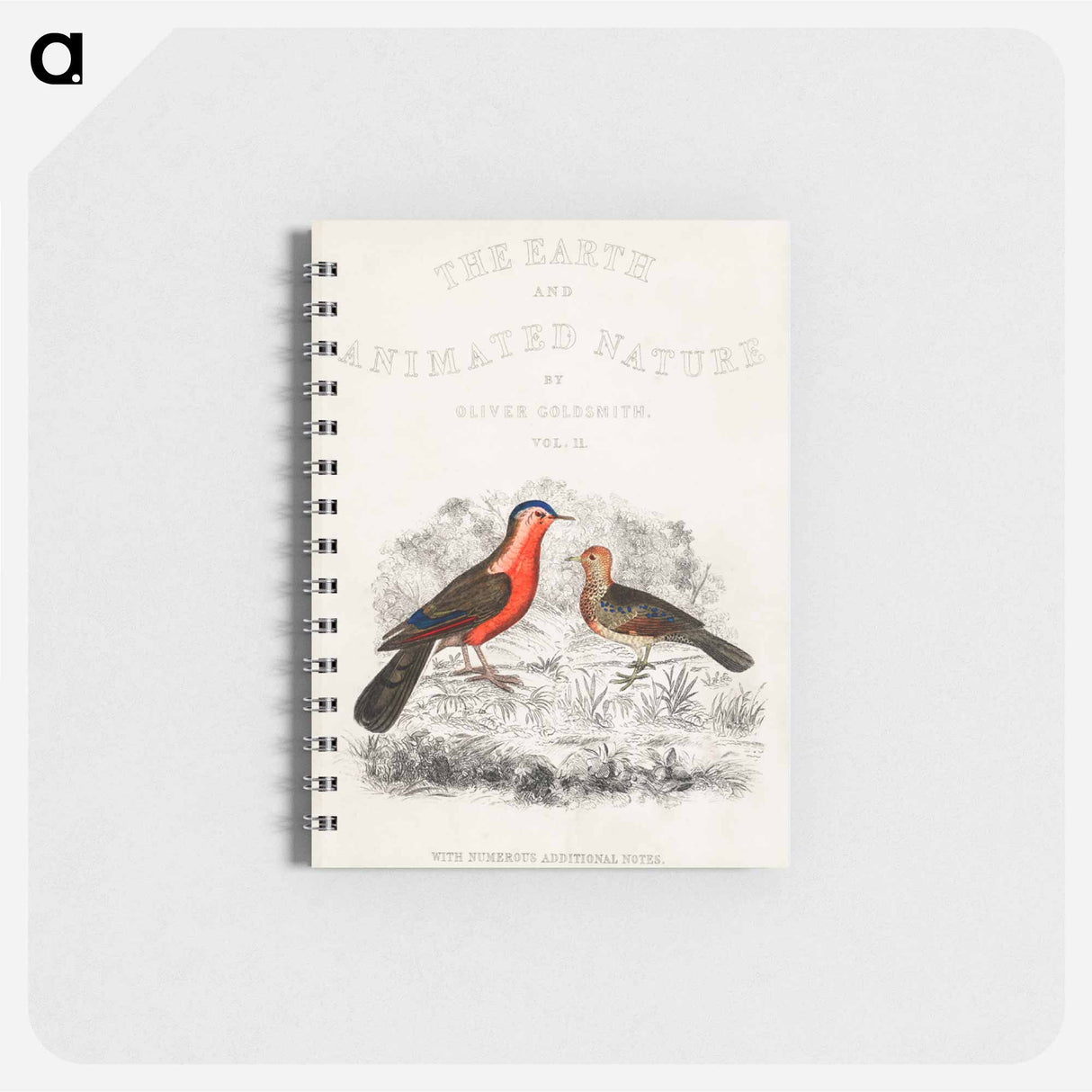 アートメモ帳-Bird Illustration
- ゴールドスミスの生き生きとした自然 Memo.