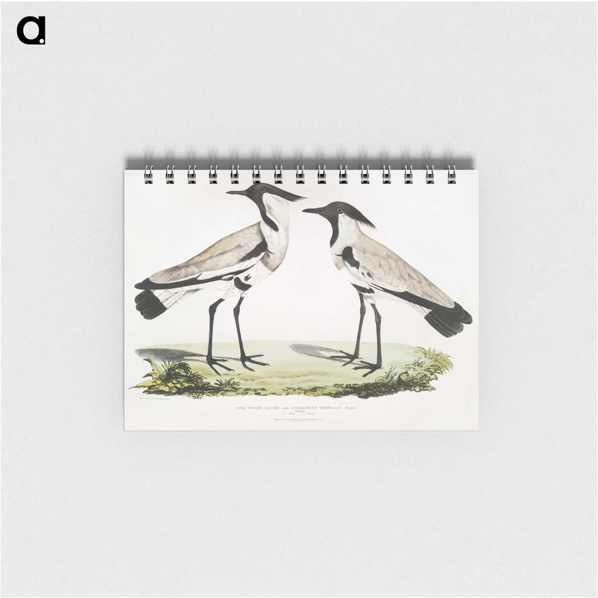 1-86_Indian-Zoology_memo