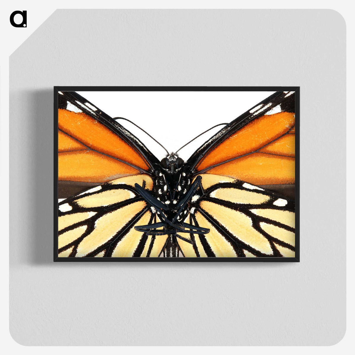 1-86_Insects-Unlocked-Project_blk-crop
