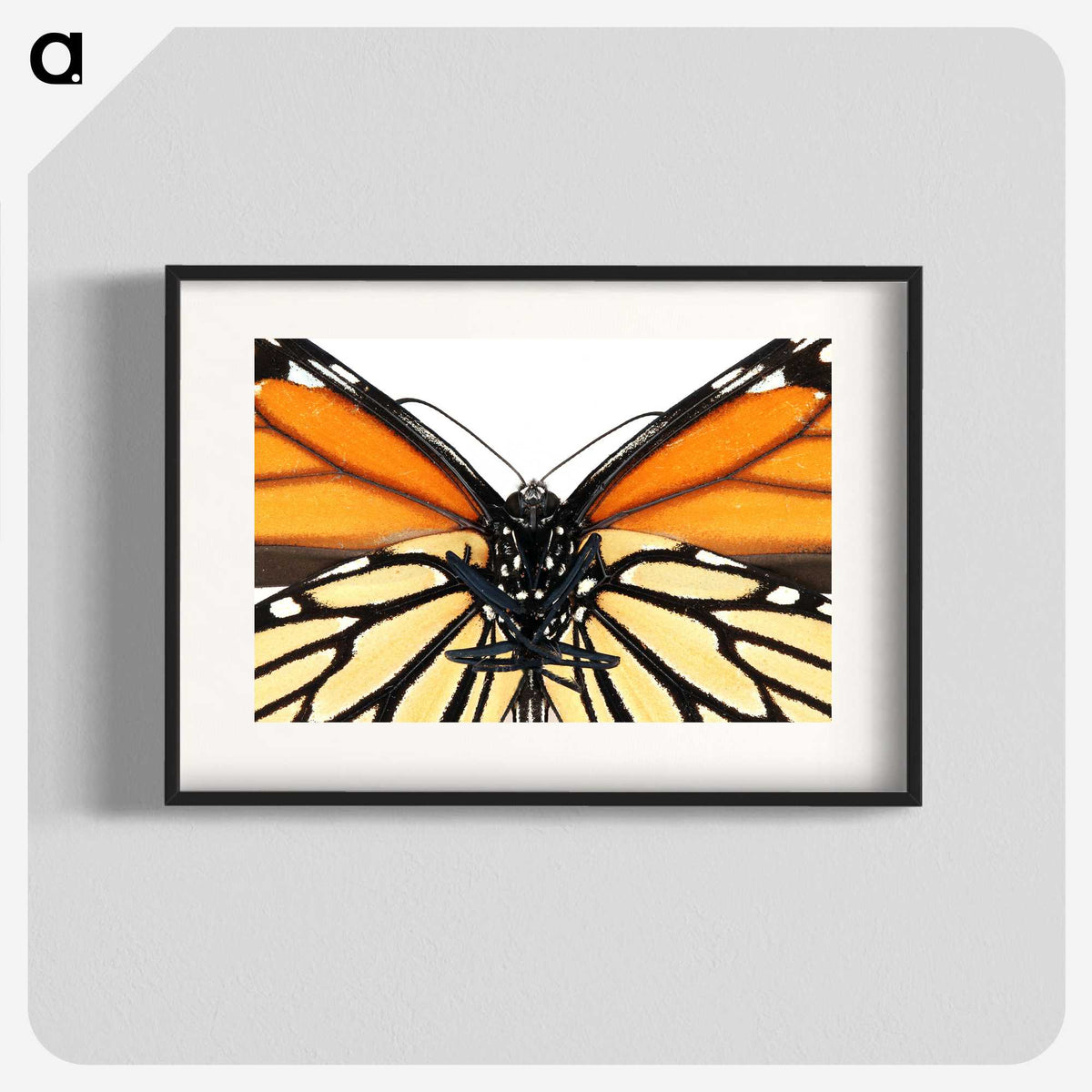 1-86_Insects-Unlocked-Project_blk