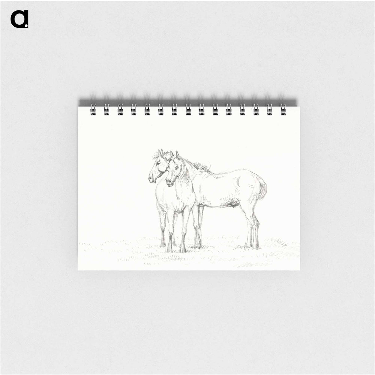 Two horses standing together - ジャン ベルナール Memo.