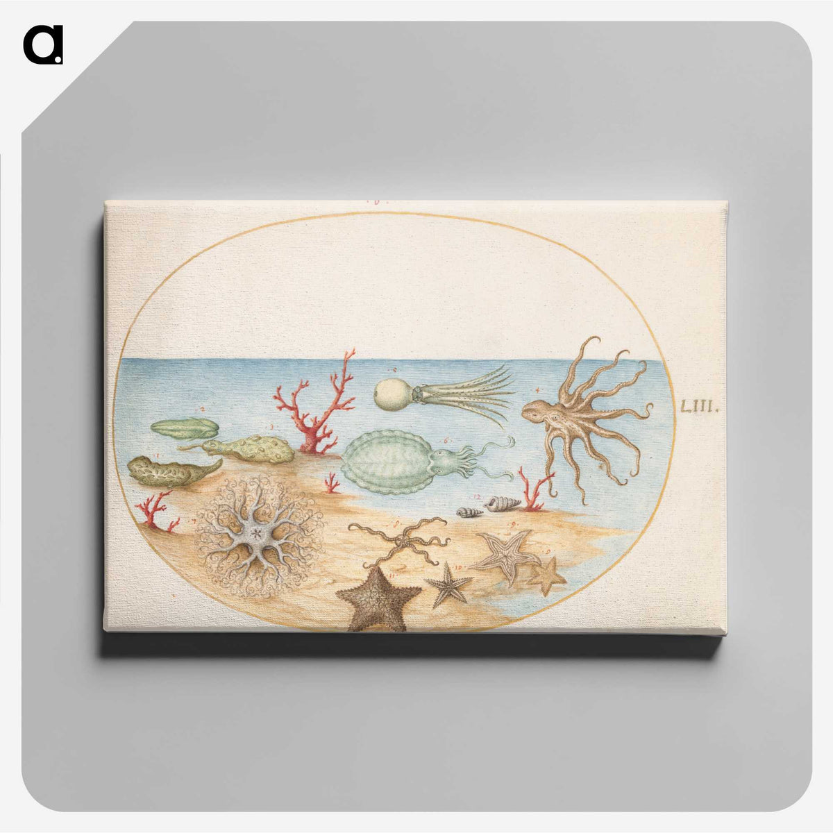 1-86_Joris-Hoefnagel_canvas
