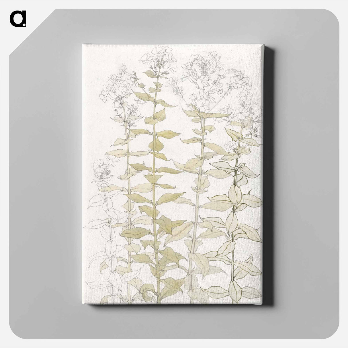 Phlox color sketch - Julie de Graag Canvas.