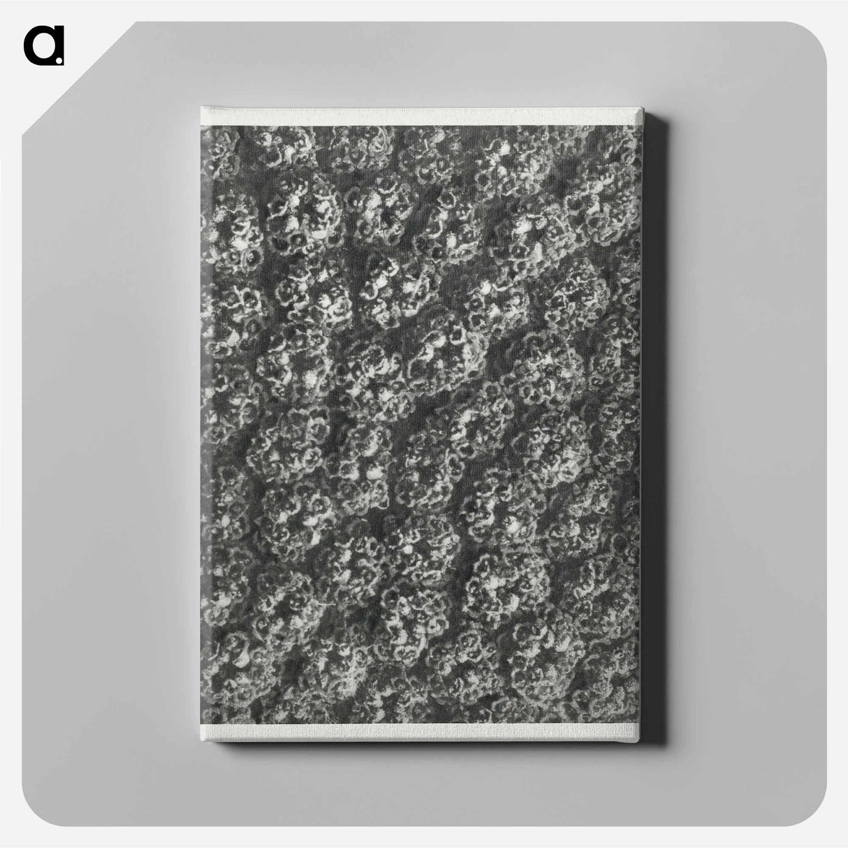 Achillea Filipendulina - Karl Blossfeldt Canvas.