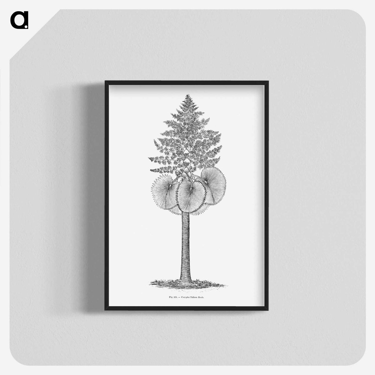 1-86_Les-Palmiers-Histoire-Iconographique_blk-crop