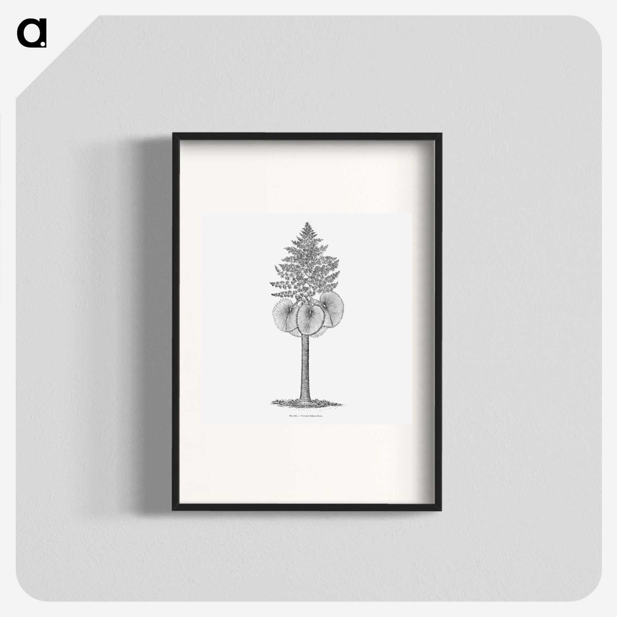 1-86_Les-Palmiers-Histoire-Iconographique_blk