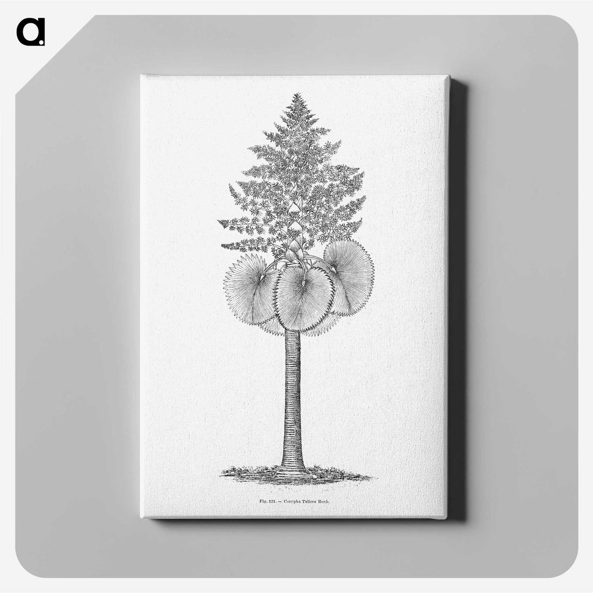 1-86_Les-Palmiers-Histoire-Iconographique_canvas