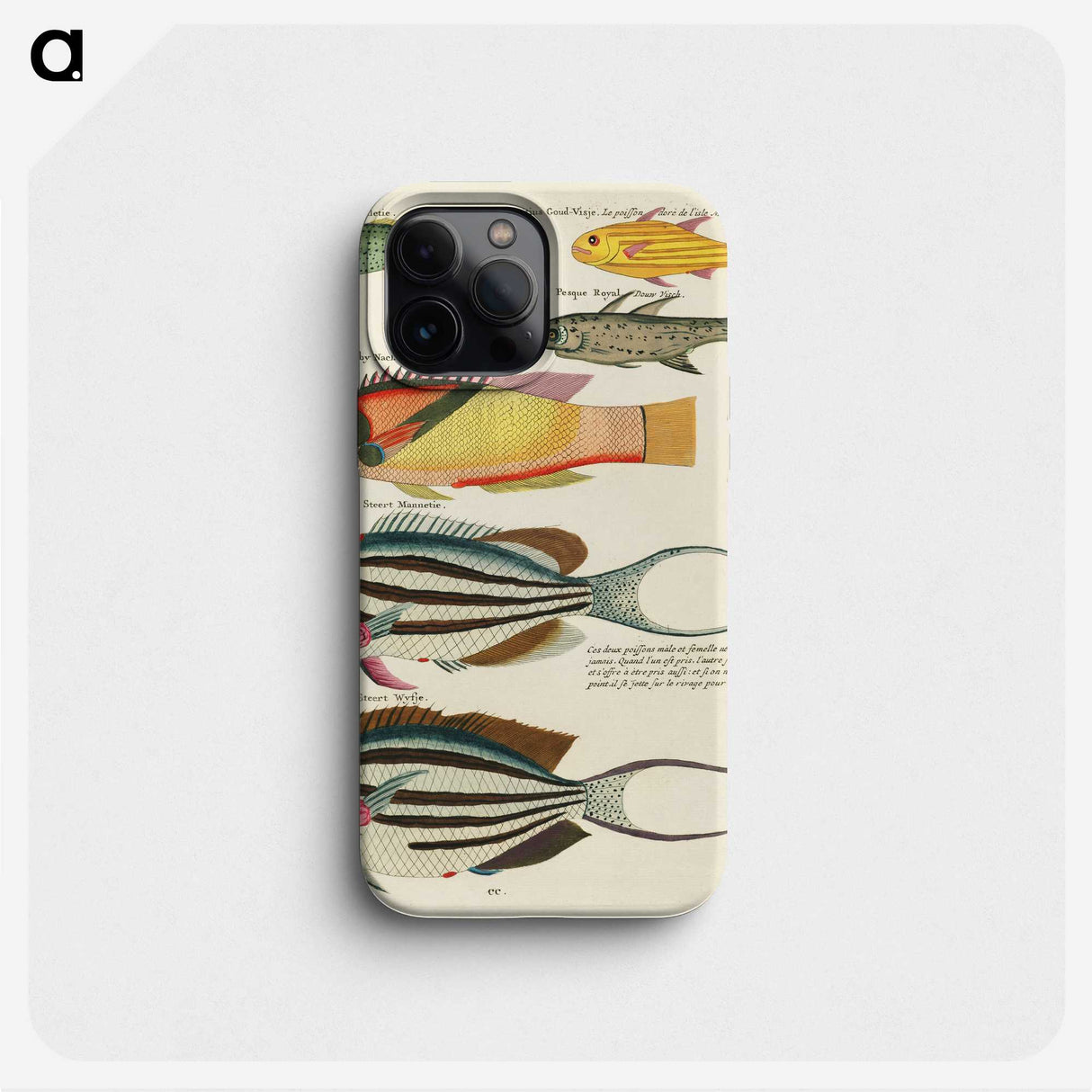1-86_Louis-Renard_phone