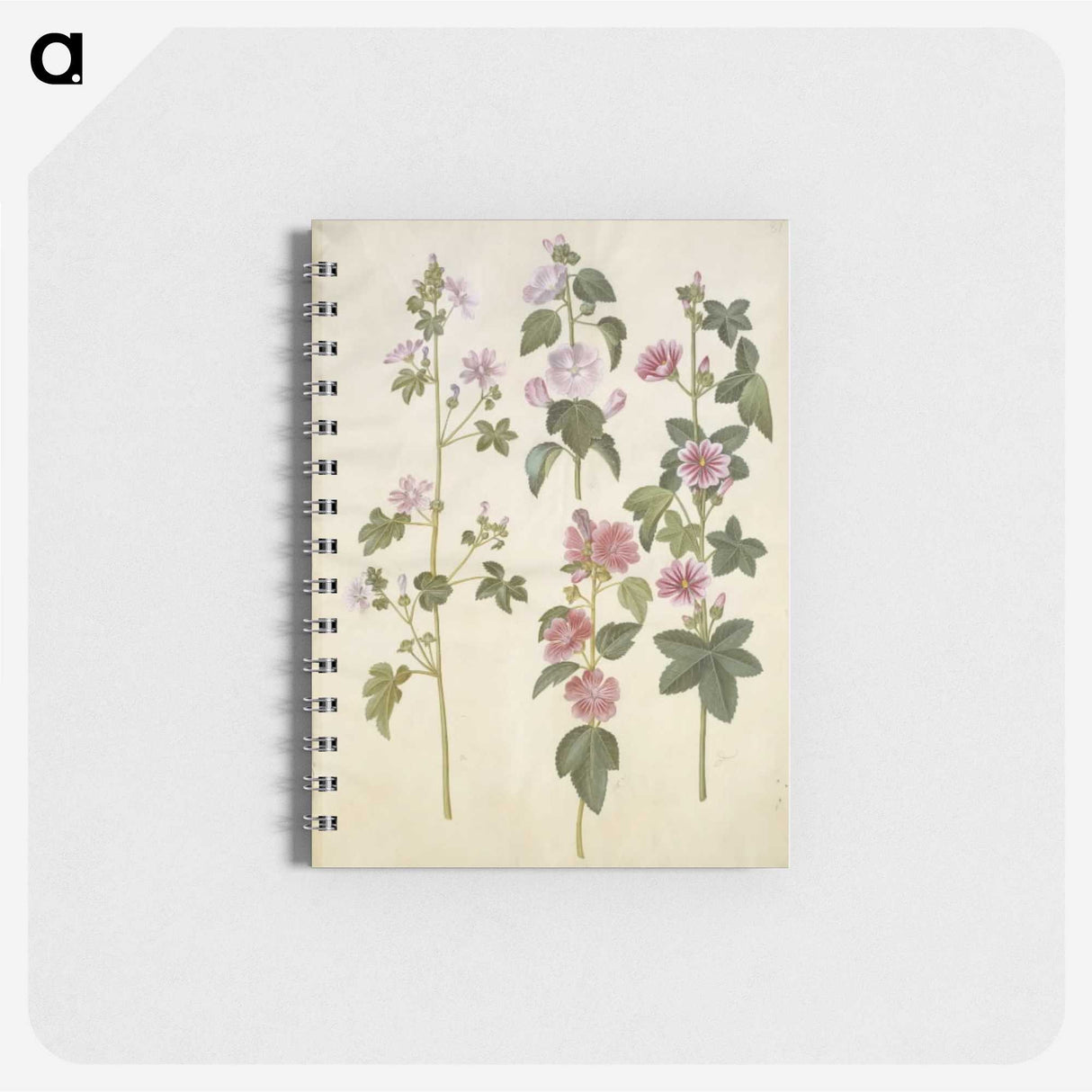 1-86_Maria-Sibylla-Merian_memo