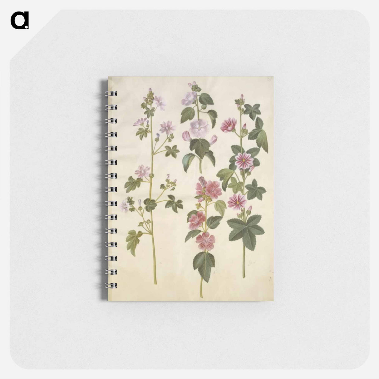 アートメモ帳-Malva sylvestris and Lavatera thuringiaca
- マリア ジビーラ メーリアン Memo.