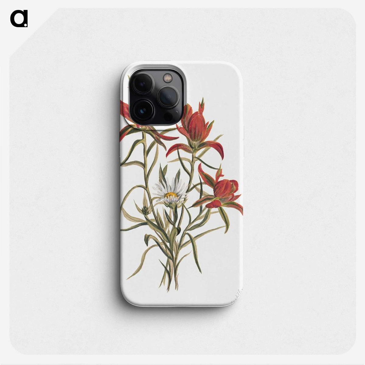 1-86_Mary-Vaux-Walcott_phone