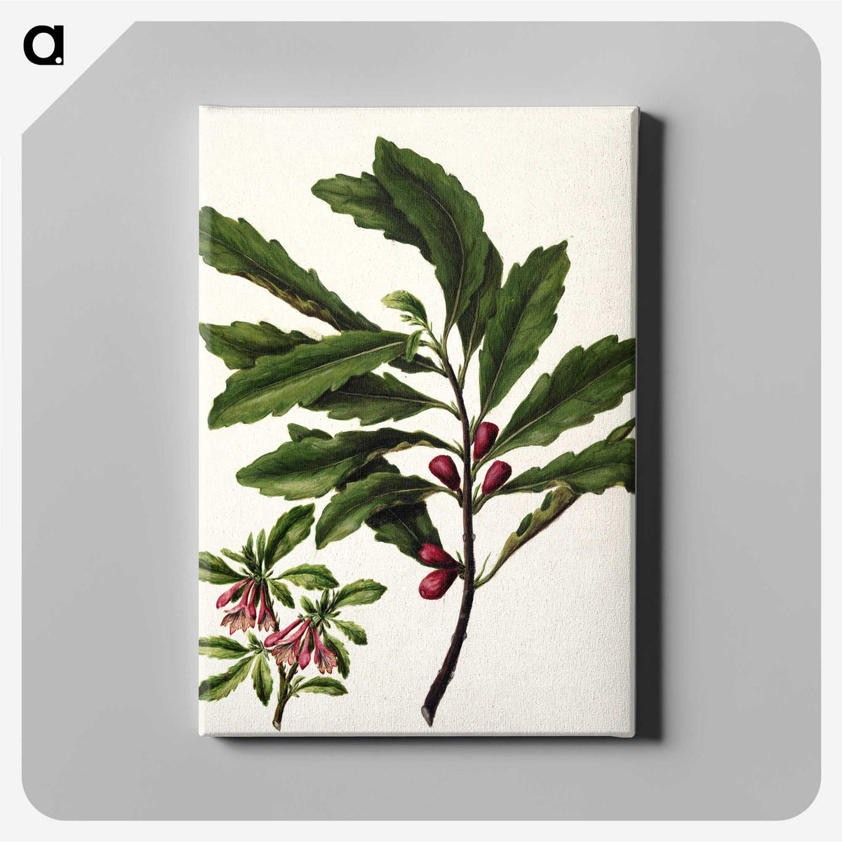1-86_Native-Flowering-Plants-of-New-Zealand_canvas