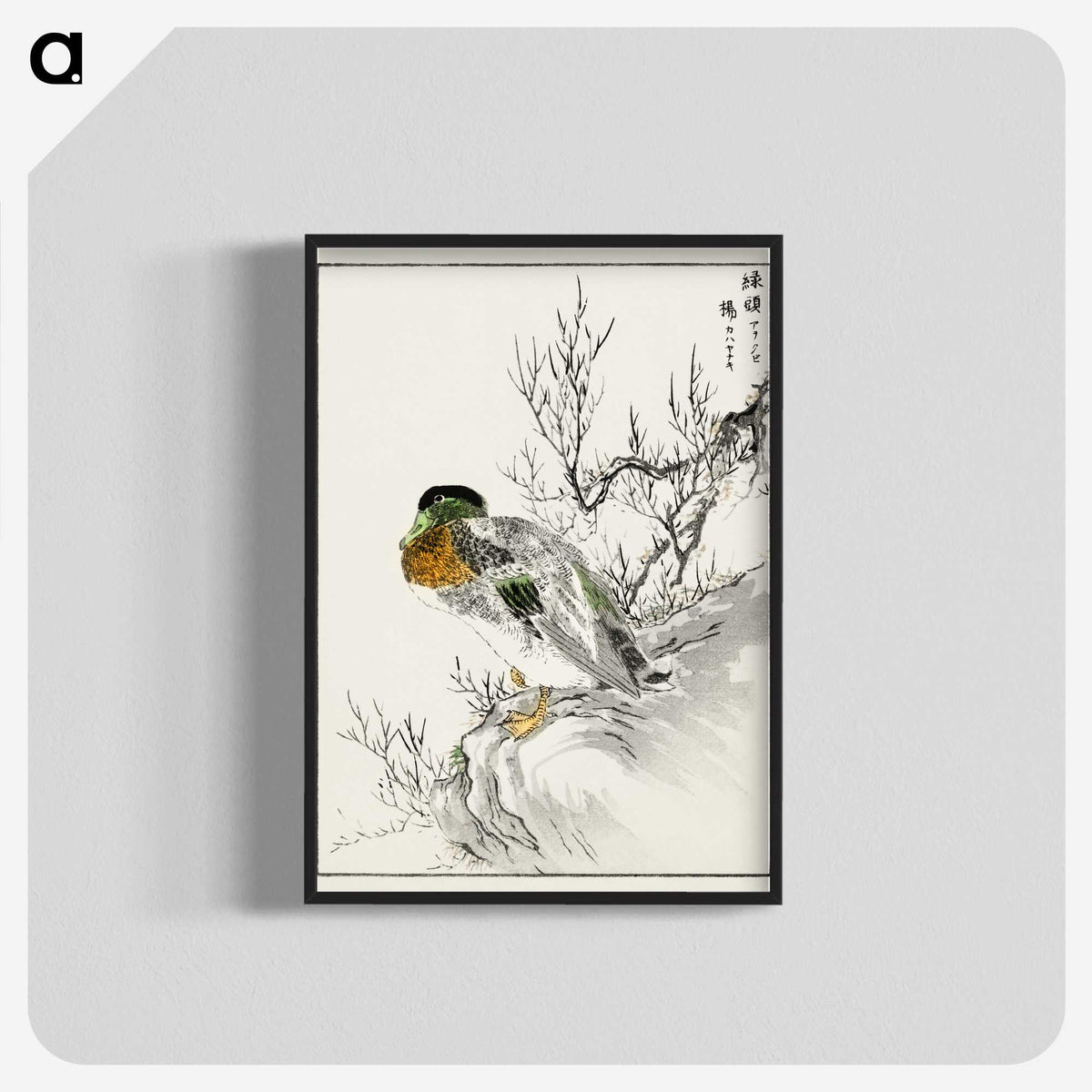 1-86_Pictorial-Monograph-of-Birds_blk-crop