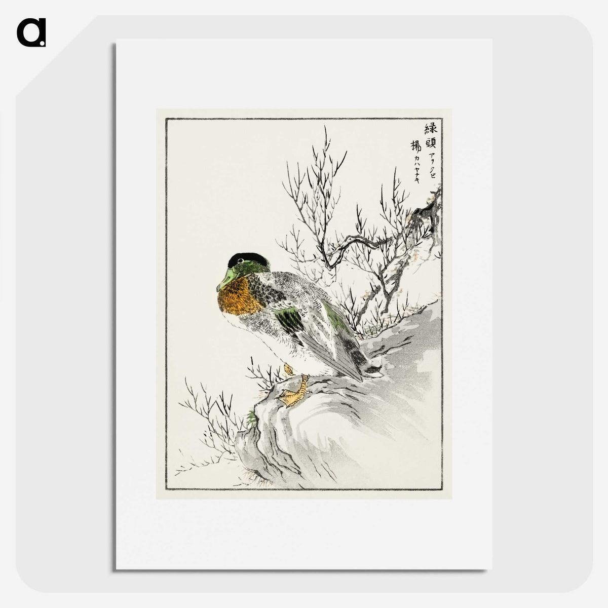 1-86_Pictorial-Monograph-of-Birds_picture