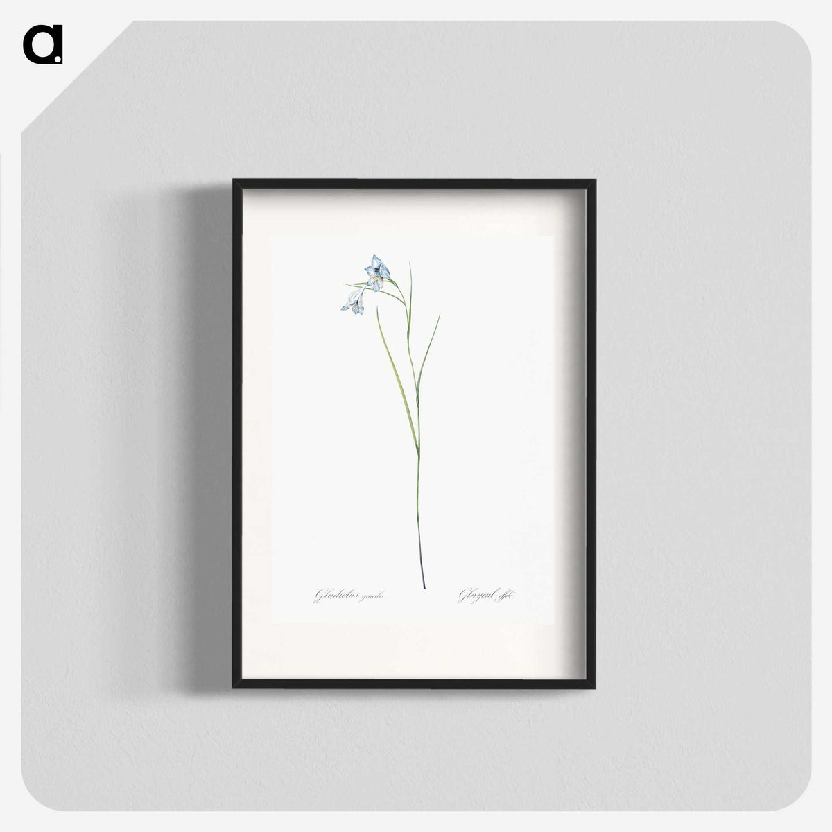 1-86_The-Lilies_blk