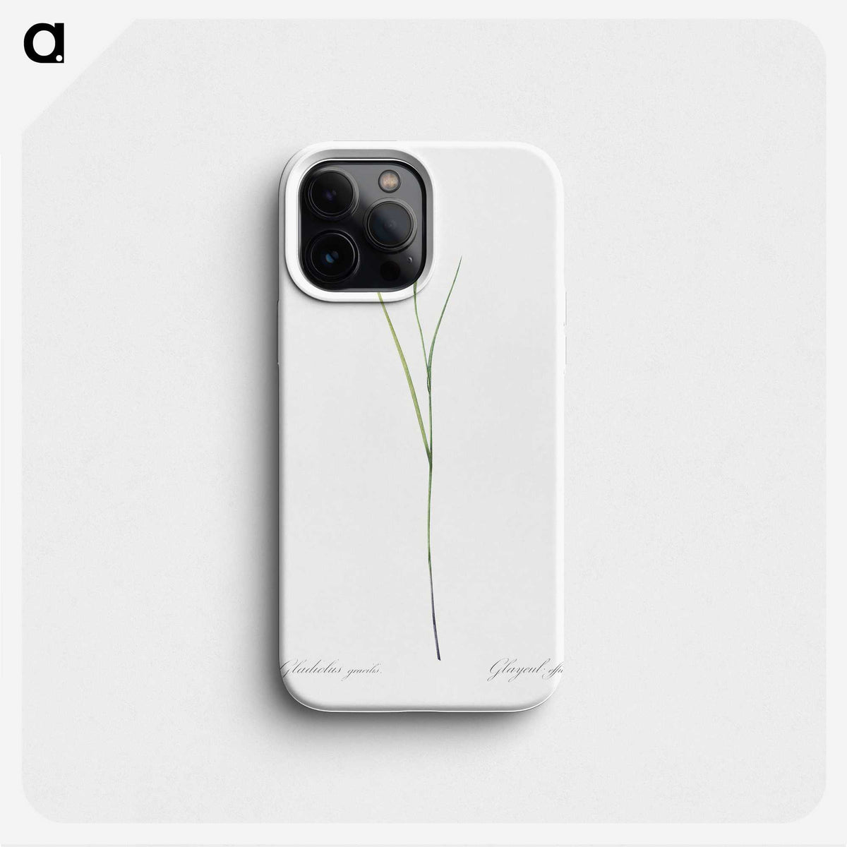 1-86_The-Lilies_phone