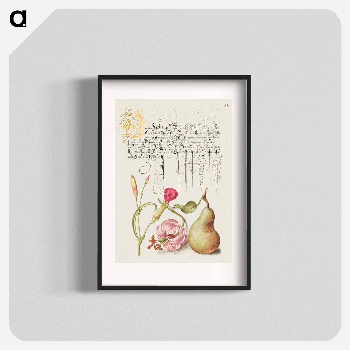 アートポスター-Carnation, Martagon Lily, and Pear from Mira Calligraphiae Monumenta
- 書道のお手本 Poster.