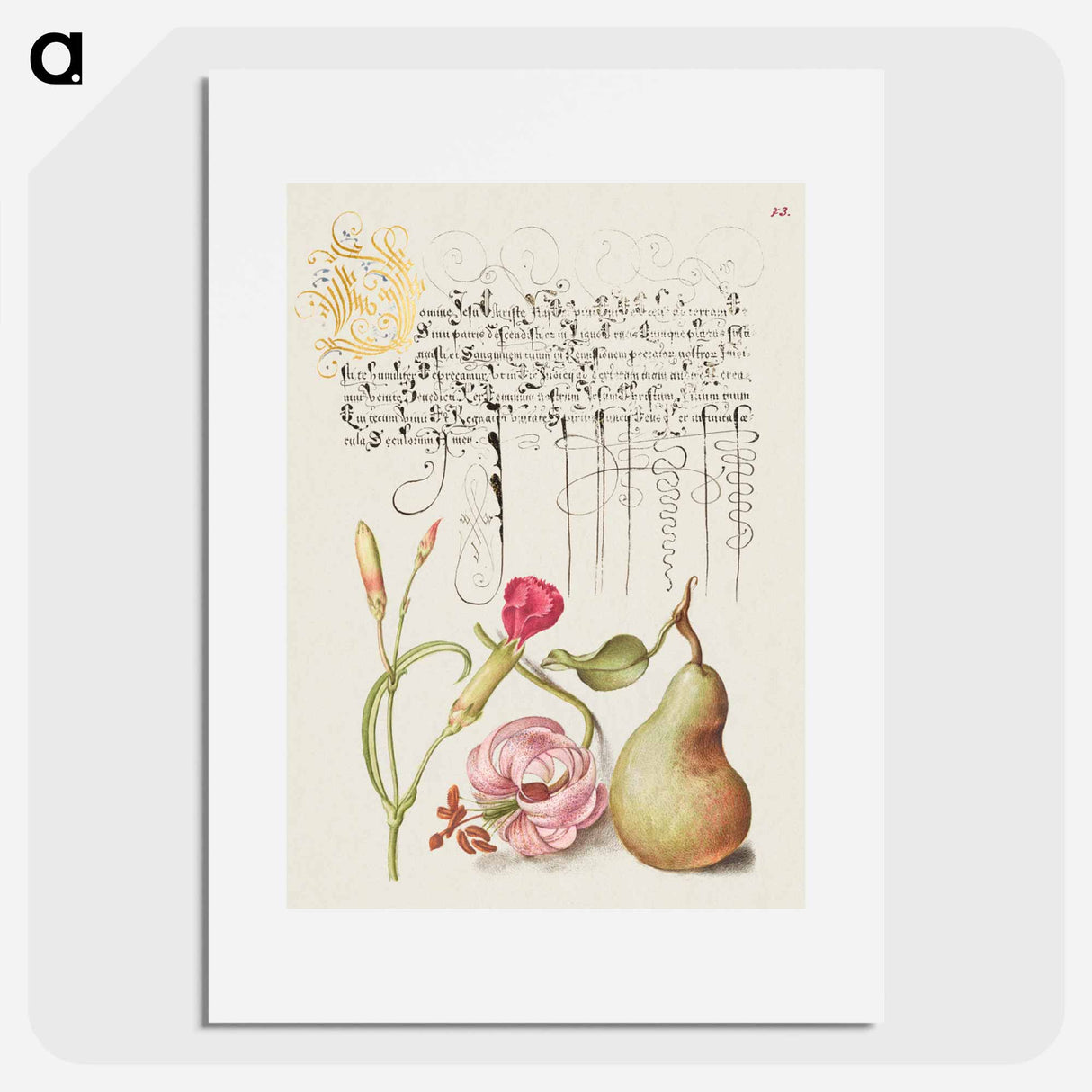 アートポスター-Carnation, Martagon Lily, and Pear from Mira Calligraphiae Monumenta
- 書道のお手本 Poster.