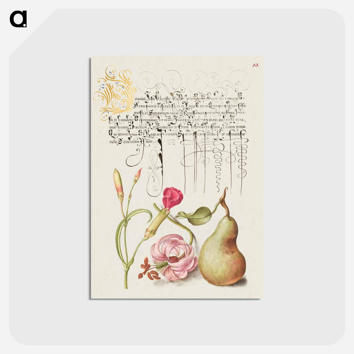アートポストカード-Carnation, Martagon Lily, and Pear from Mira Calligraphiae Monumenta
- 書道のお手本 Postcard.