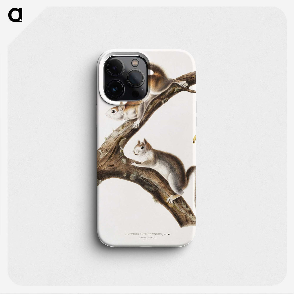1-86_The-Viviparous-Quadrupeds_phone
