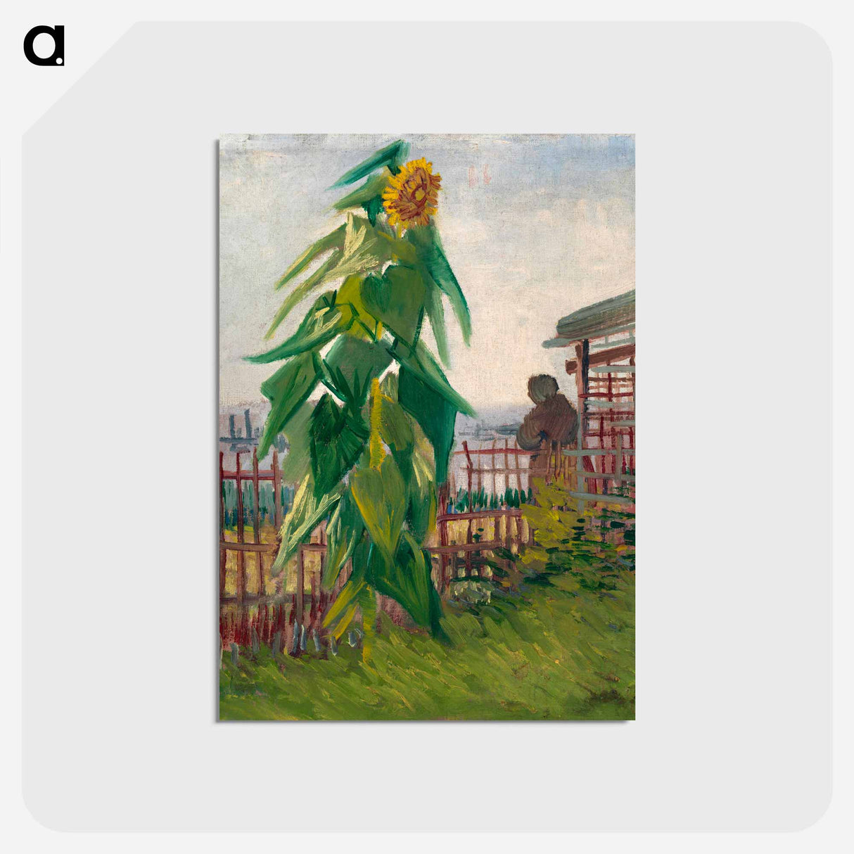 Allotment with Sunflower - フィンセント ファン ゴッホ Postcard.