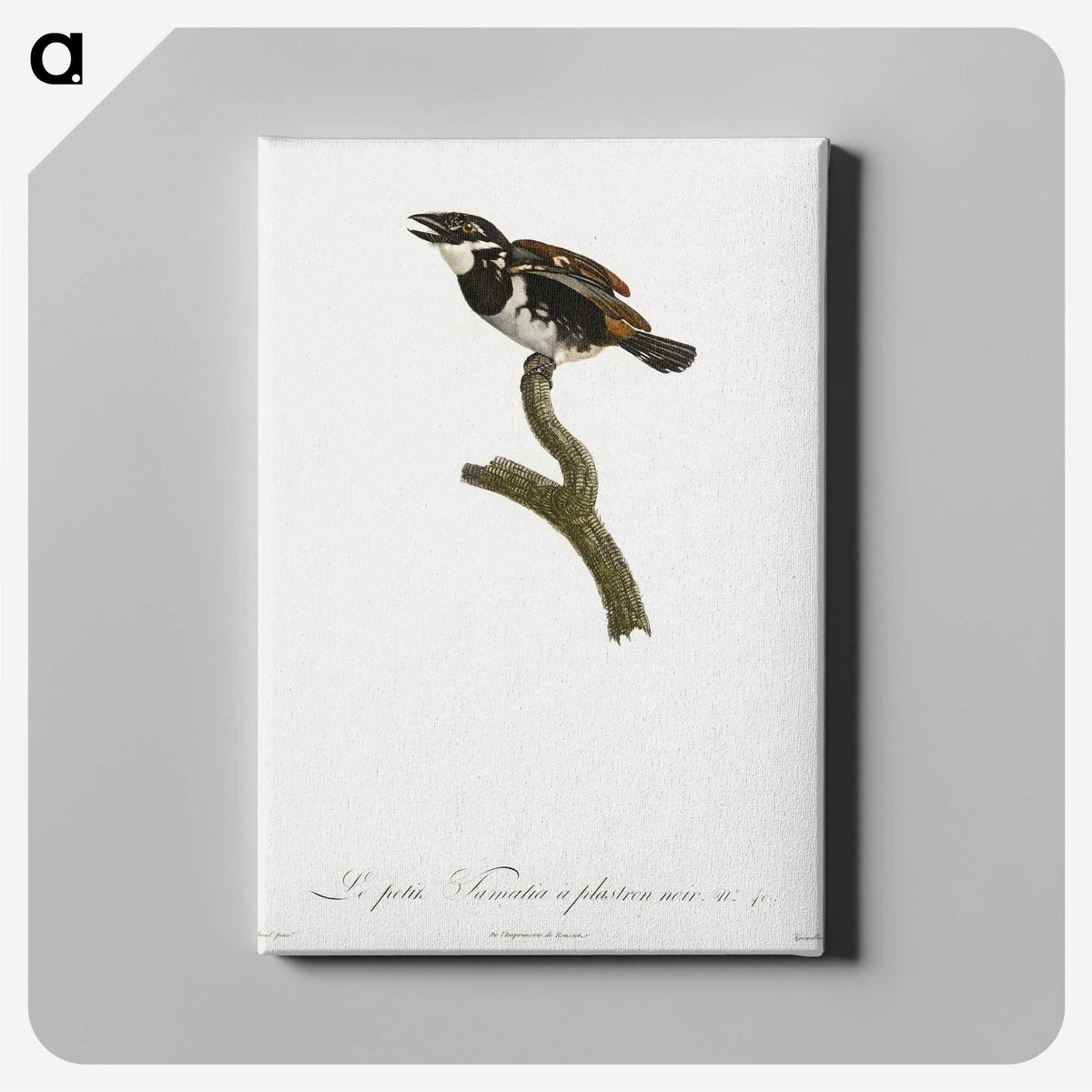 1-87_Des-Oiseaux-de-Paradis_canvas