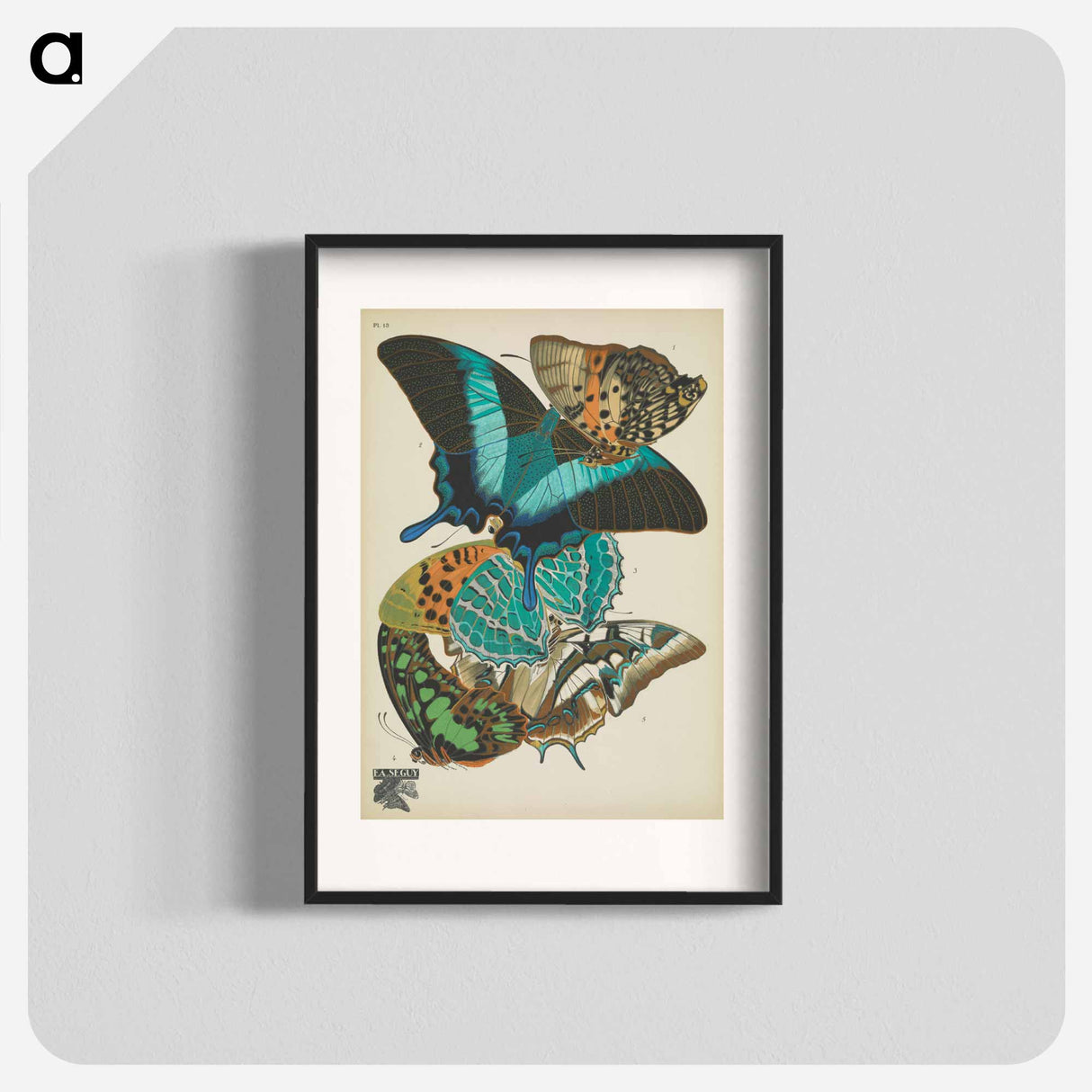 E.A. Séguy's vintage butterflies insect illustration - E.A.セギー Poster.