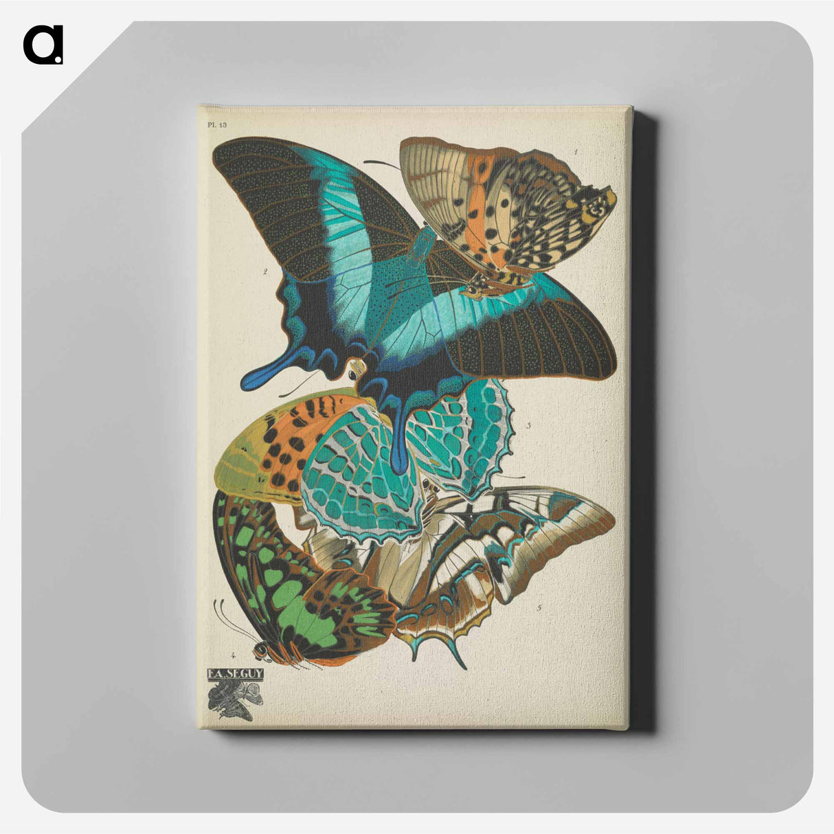 E.A. Séguy's vintage butterflies insect illustration - E.A.セギー Canvas.