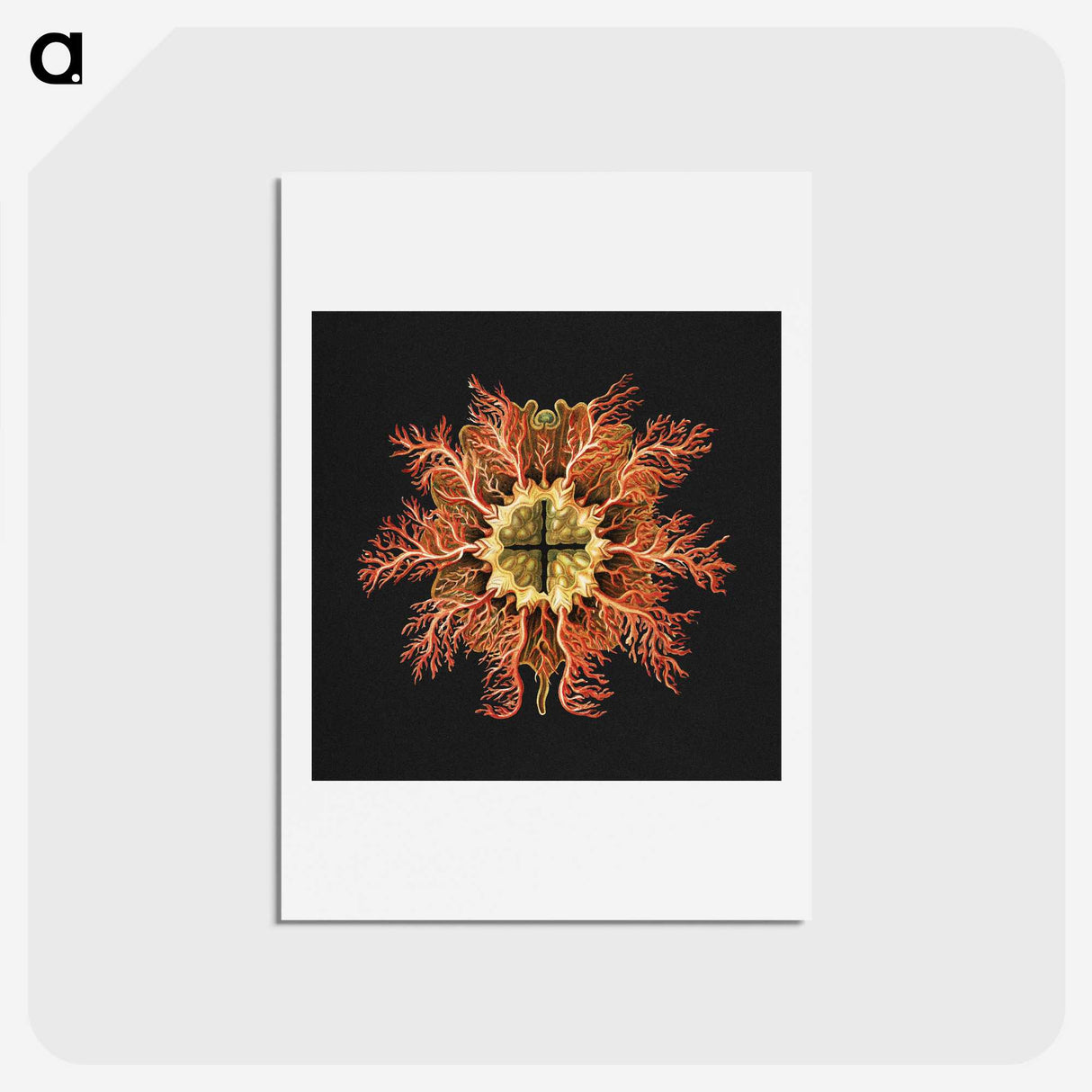 1-87_Ernst-Haeckel_hagaki