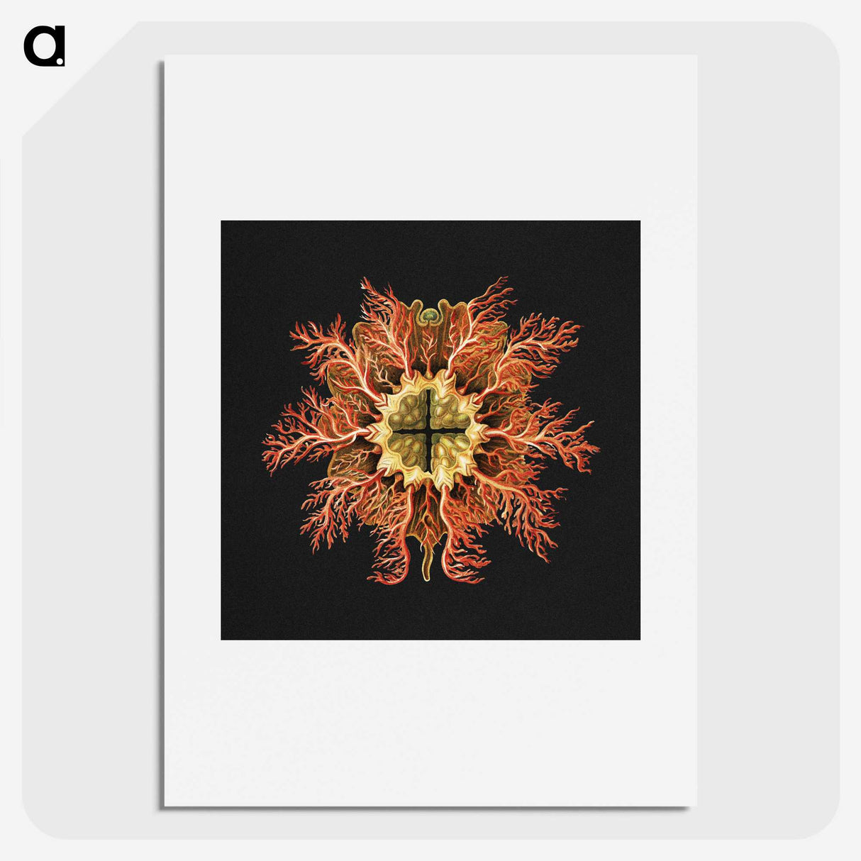 1-87_Ernst-Haeckel_picture