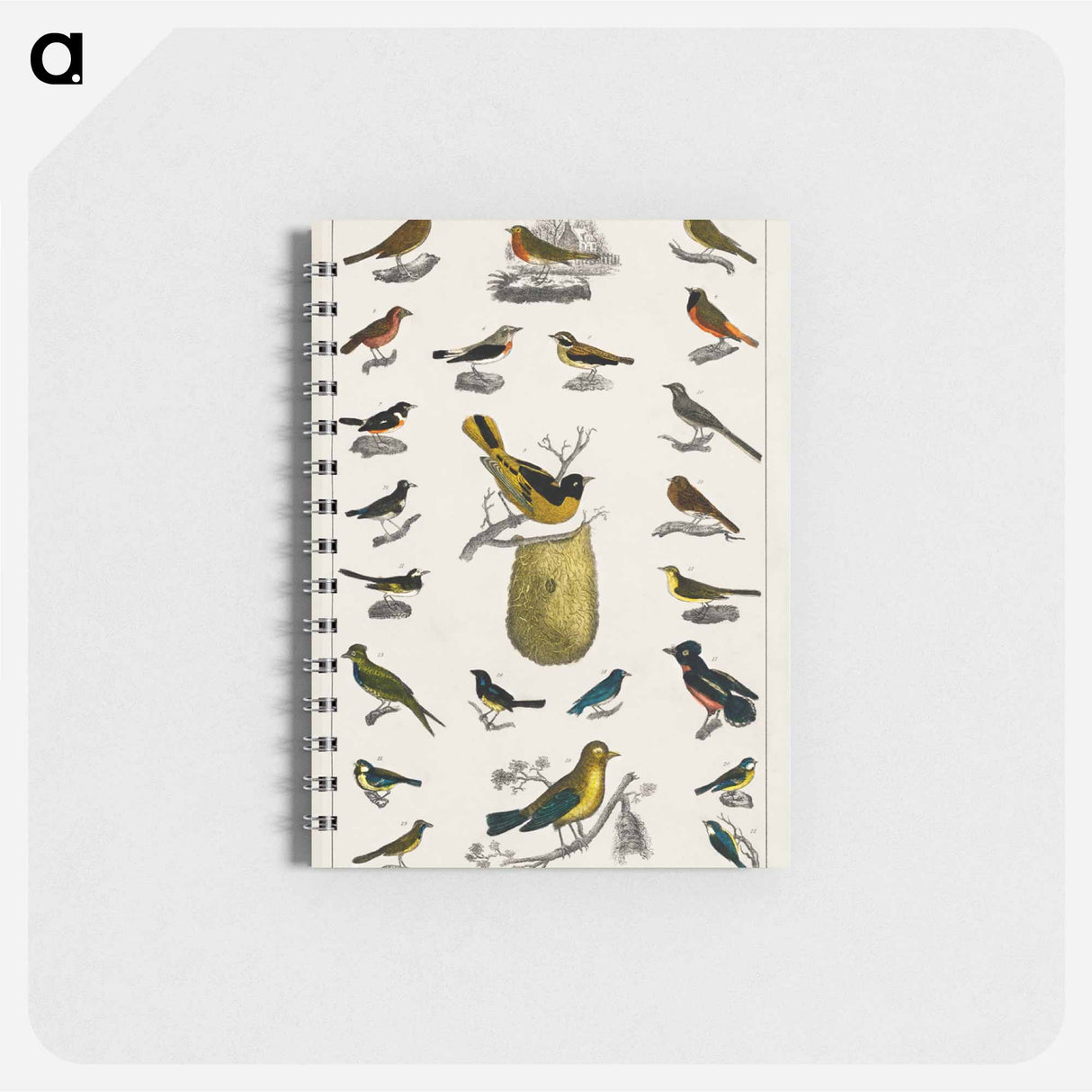アートメモ帳-Birds from Animated Nature
- ゴールドスミスの生き生きとした自然 Memo.