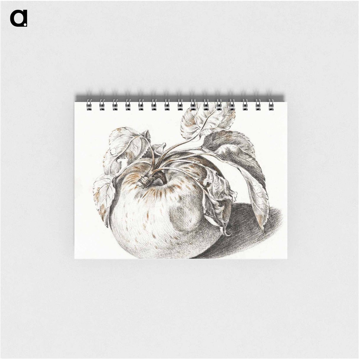 Apple - ジャン ベルナール Memo.