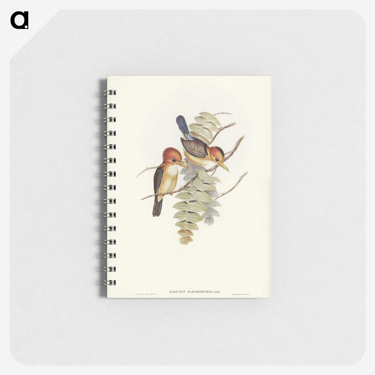 1-87_John-Gould_memo